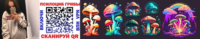 Псилоцибиновые грибы Psilocybe  Арзамас 